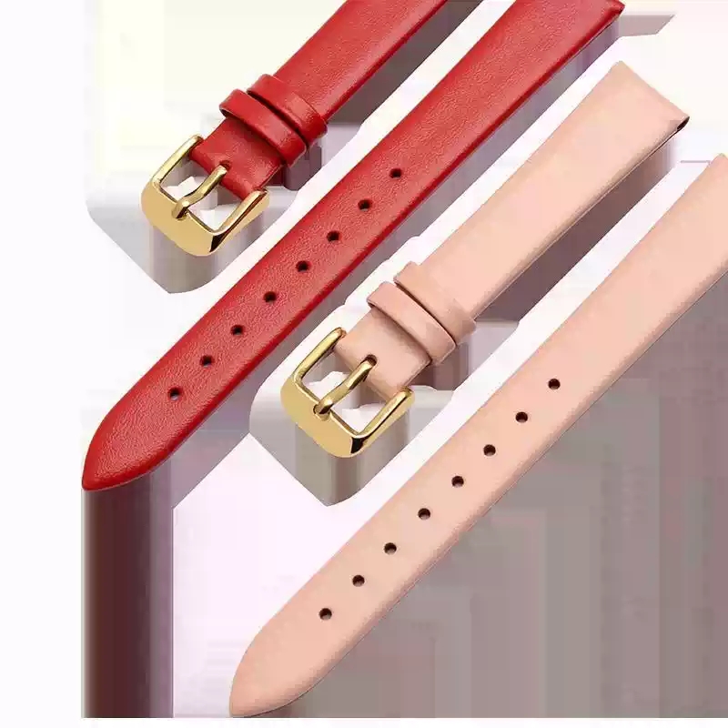 Accesorios para reloj, correa  - Daniel Wellington Watches & Jewelry Online Store reseña y precio
