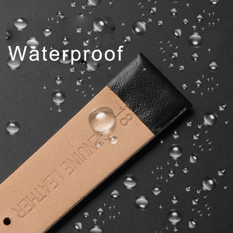 Accesorios para reloj, correa  - Daniel Wellington Watches & Jewelry Online Store reseña y precio